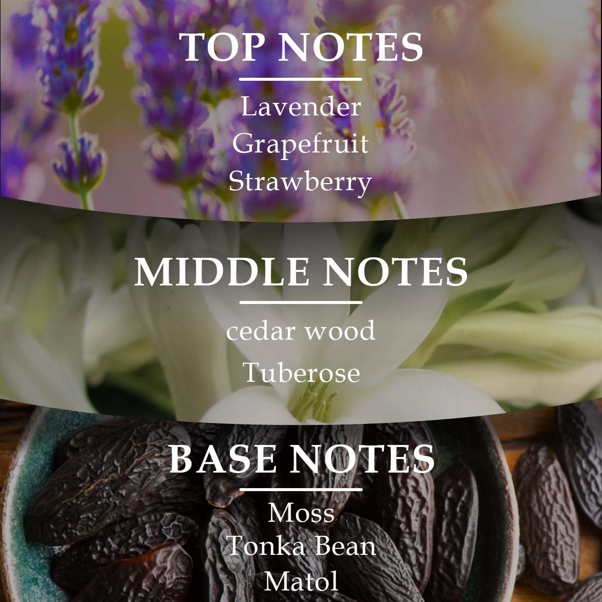 LONKOOM Noble Black Perfume