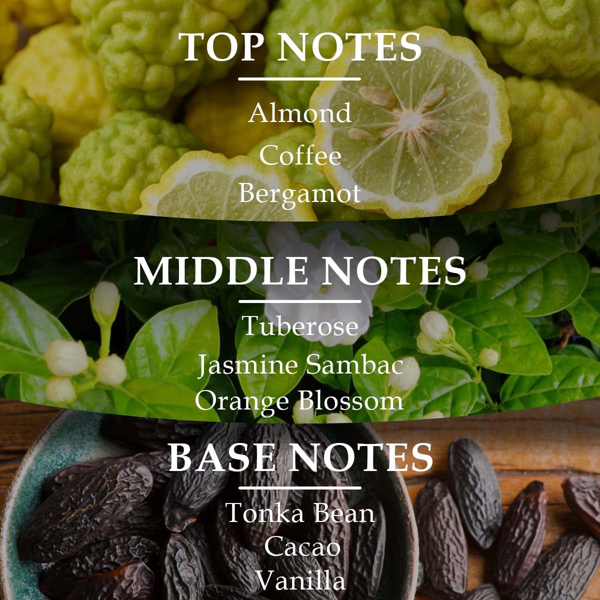 LOCK FORBIDDEN DARKNESS